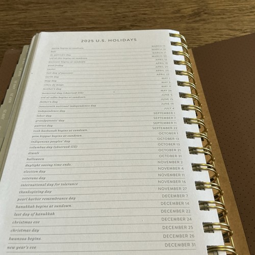 Fringe Studio Planner 17 mesi agosto 2024 - dicembre 2025 - nuovo - Foto 13 di 14
