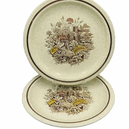 Vintage Churchill Homespun Stonecast Hedgerow Dinner Plates 10" Set 2 England