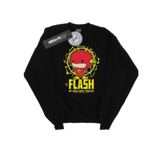 DC Comics Boys Flash My Hero Since Forever Sweatshirt (BI15103) - Picture 1 of 9
