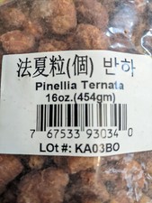 Fa Xia Li,Dried Pinellia Ternata Roots 16 Oz