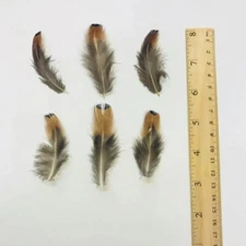 180X Random Pheasant Feather DIY Wedding Gift Box Filling Material Accessories