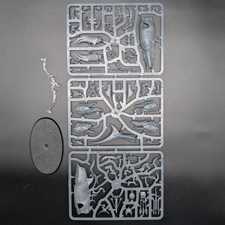 Idoneth Deepkin Akhelian Allopex (1x) On Sprue Age of Sigmar