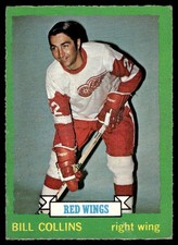 1973-74 O-Pee-Chee Bill Collins Detroit Red Wings #163