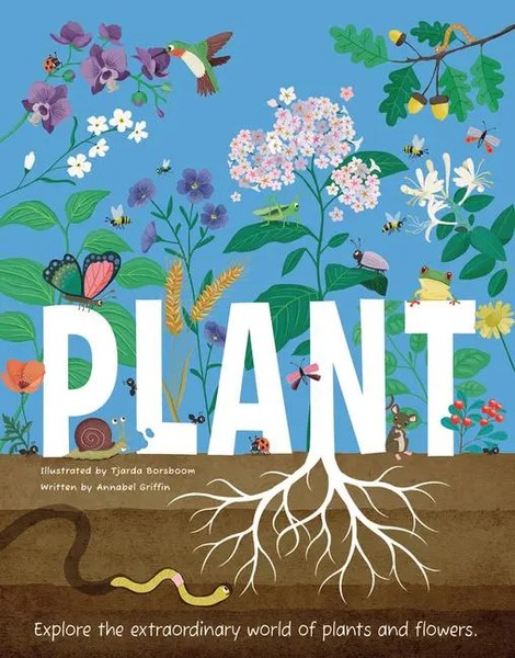 Plant | Explore The Extraordinary World Of Plants And Flowers | Griffin | Buch-image