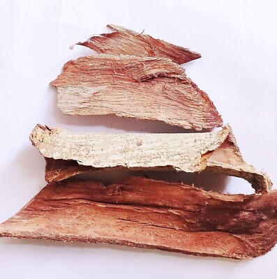 Rohida Chhal Tecomella Undulata Rohira Chaal Herbs Rohitak Chal Herbs Whole