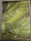 5 Mathematics Math Education Posters Good for Classrooms - Russell, Einstein, + — photo 4