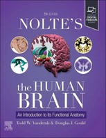 Nolte's The Human Brain An Introduction To Its Functional Anatomy Taschenbuch