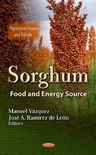 Sorghum: Food and Energy Source (Agriculture Issues and (2012)