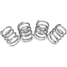 BBR Motorsports HD Clutch Springs | 410-HXR-5005