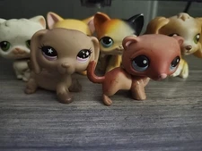 6 Set LPS Lot. 2x Authentic Shorthair Cats. 1x Authentic Dachshund. Etc.