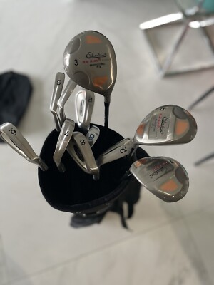 Silverline Golfbag Golfschläger  Big Bird Steel Copper Profisional 17-4  (12 X) 