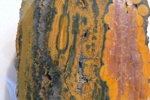 Ocean Jasper From Madagascar 4Lb & 12oz