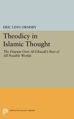 Theodizee im islamischen Denken: Der Streit um A, Ormsby Taschenbuch += - Bild 1 von 1