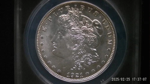 1921 D Morgan Dollar ANACS MS 64 - VAM 1AE2