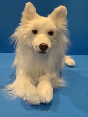Cuddle Clones brand plush Husky/Samoyed mix