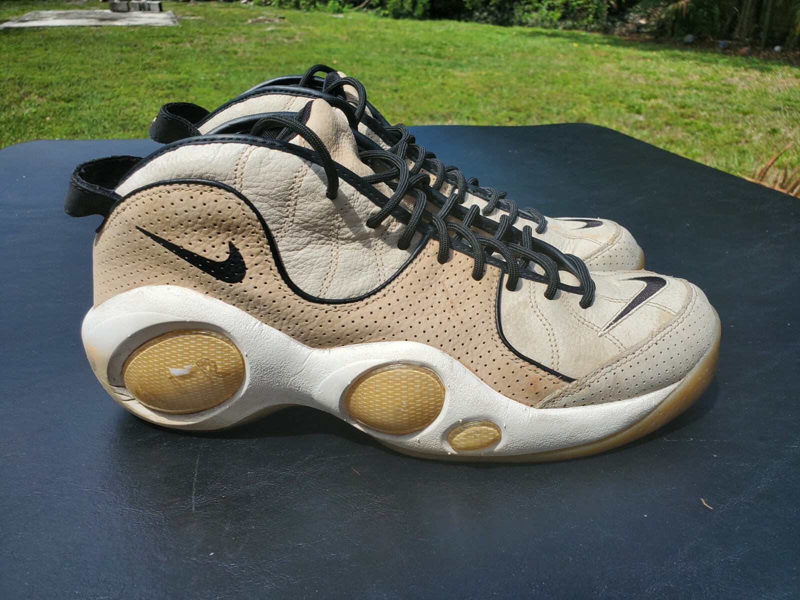 air zoom flight 95 mushroom