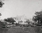 Battle of Gettysburg - Trostle Farm Dead Artillery Horses 8x10 Civil War Photo