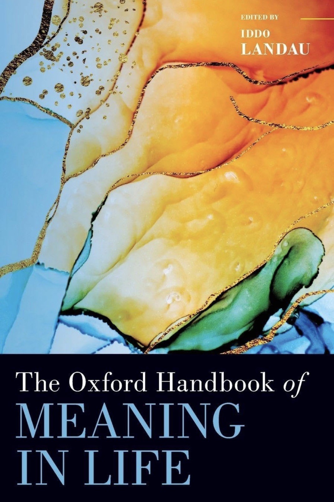 The Oxford Handbook of Meaning in Life - 9780190063504 - Like New!