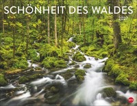 SchöNheit Des Waldes Posterkalender 2027 Eine Mystische Reise Durch Die Welt ...