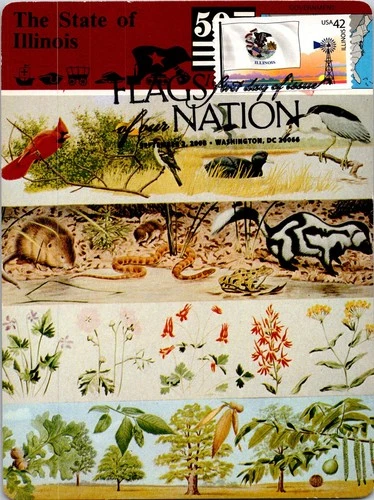 Dr Jim Stamps Maximum Card Illinois State Flag 42C Flags Of The Nation Fdc