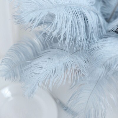 12 pcs 13''-15'' long Genuine Ostrich Feathers for Wedding Party Centerpieces SALE