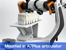 BIOART A7 Plus Accessories Kit for Articulator Standard Facthe Bennett Adjusting