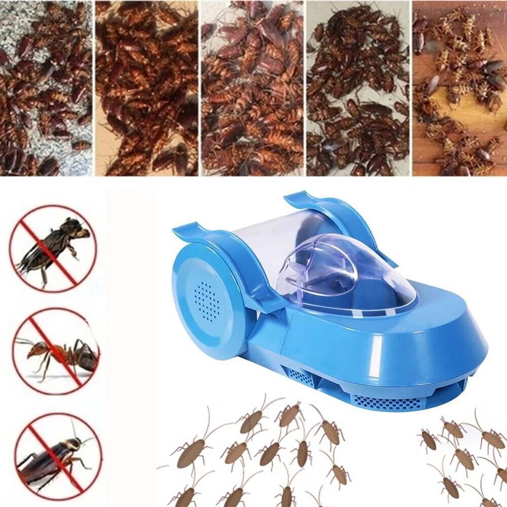 Roach traps sale