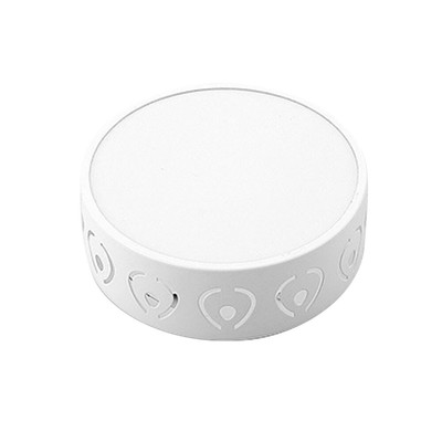 LED Ceiling Lamp Brightness Durable Entry Lights Ceiling Fixture for Living Room
