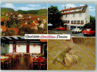 10461104 - 6935 Muelben restaurant pension three lilies Bes H Guckenhan pig