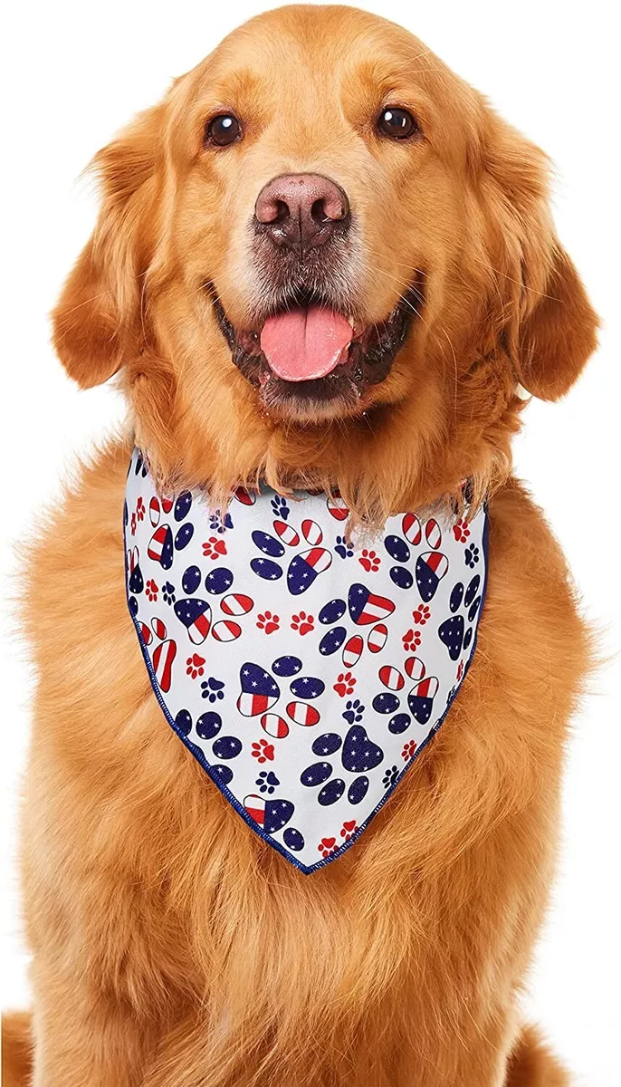 Dog 4th of july cheap bandana