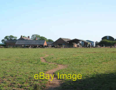 Foto 6x4 Rinderweide und Mauersteinfarm Chorley\/SJ5751 Der Großteil um 2006