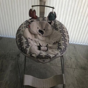 snugabear swing