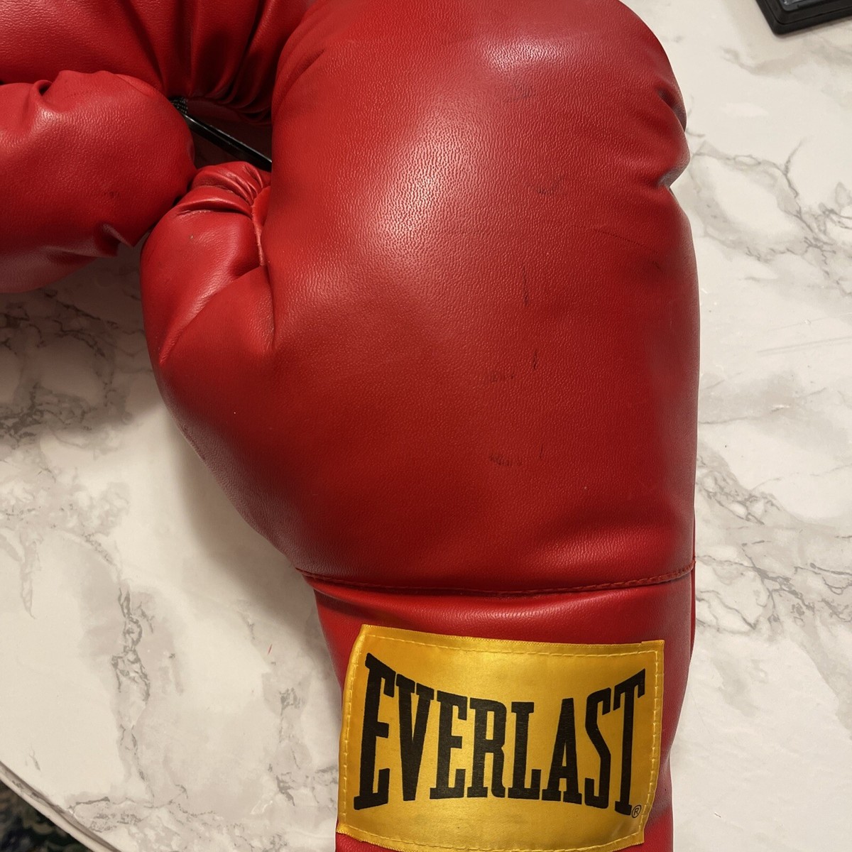 ボクシング エバーラスト EVER LAST MX 14oz MX Training Boxing
