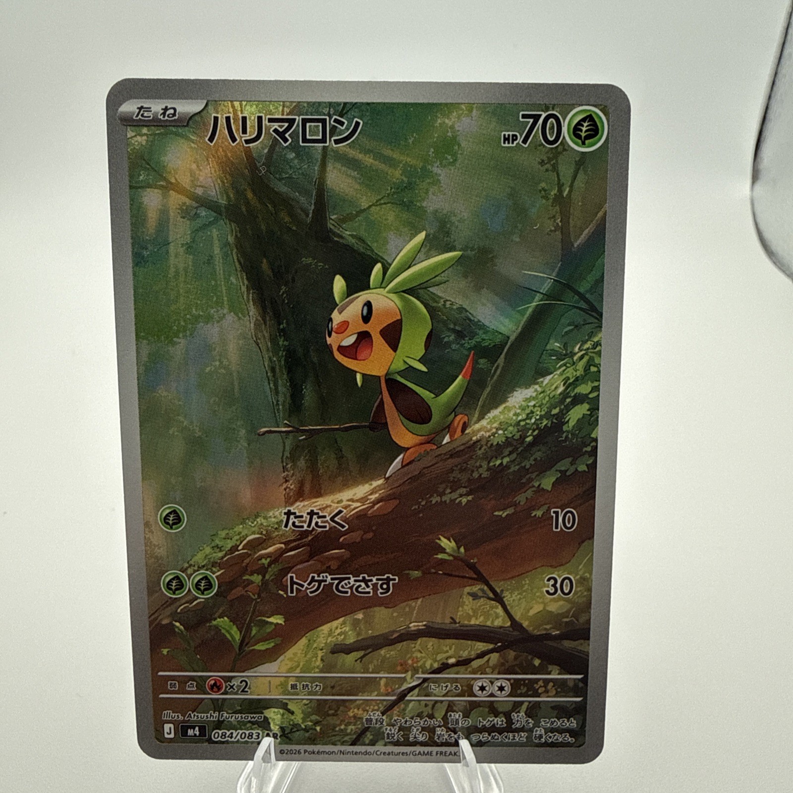 Pokemon Card - Chespin 84/83 AR- Japanese Ninja Spinner- Art Rare NM