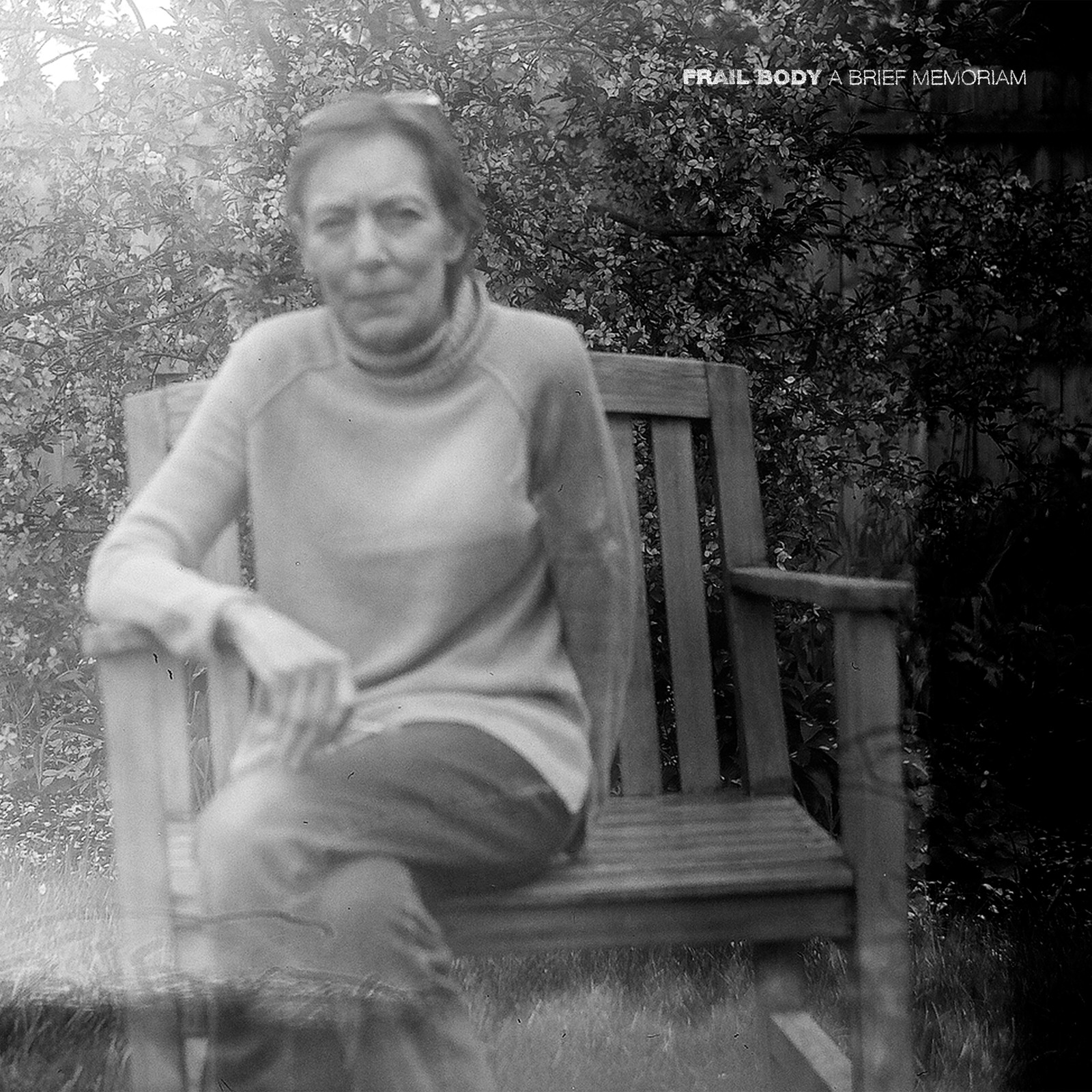 Хрупкое тело - Краткий альбом воспоминаний (CD)