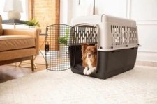Pet Kennel Medium 36" Dog Crate Plastic Travel Pet Carrier for Pets 50-70lb Grey