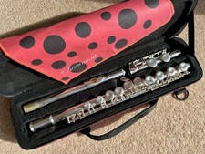 Unbranded Flute in Lovely Beaumont Hard Carrying Case. Good Playing Condition.