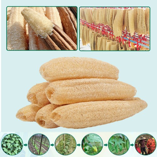 5Pcs Natural Loofah Luffa Loofa Exfoliating Shower Sponge Body Bath Scrubbers AU - Picture 11 of 13