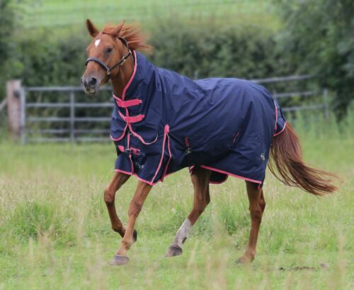 Tapis D'aiguillage Imperméable Sheldon 250g 6'6" - Pour Cheval, Neuf