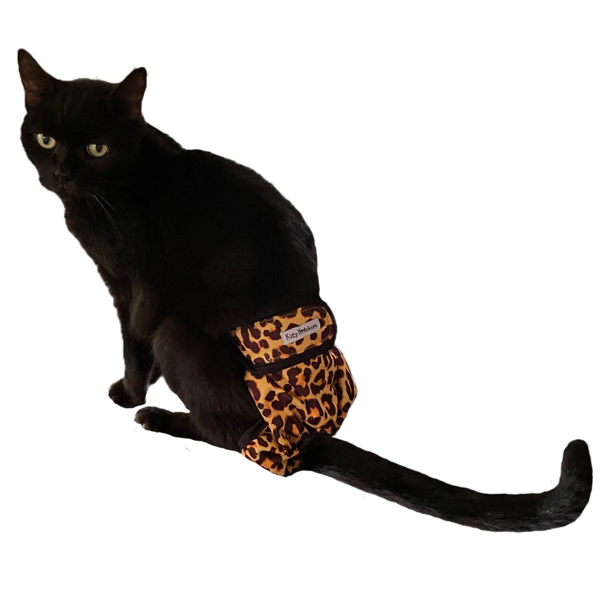 Washable cat cheap diapers