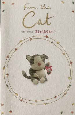 Boofle Vatertagskarte Von The Cat – Niedliches Katzen-Design, Mit Goldfolie, 15,9x18,4 Cm