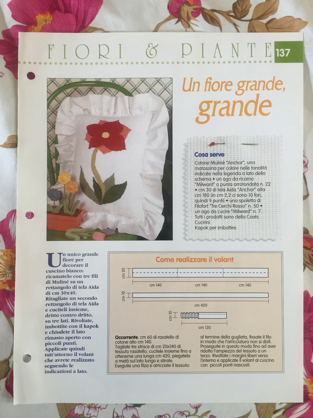 Foto 1 di 1