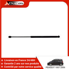Verin de hayon / de capot Peugeot 1007