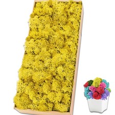 Preserved Reindeer Moss 17.6 OZ Yellow Natural for Crafts, DIY Gift Christmas...