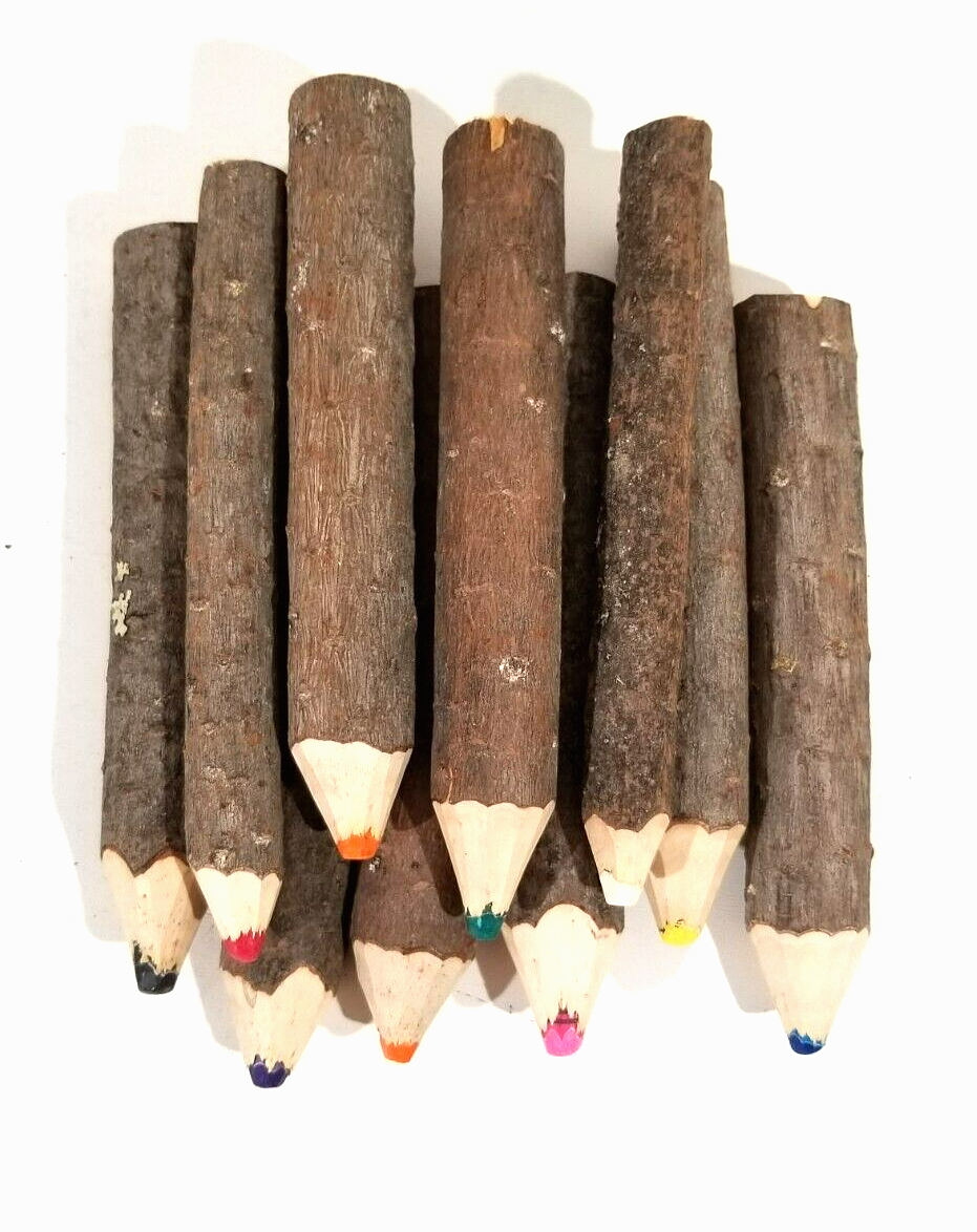 Branch Twig Colored Pencils Jumbo Large Set Of 10 eBay