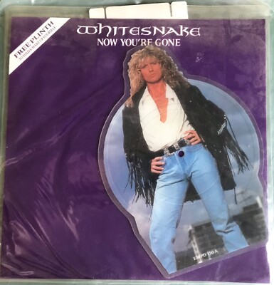 Whitesnake - Now You re Gone - Limited 7'' Shaped Picture Disc Single & Plinth.