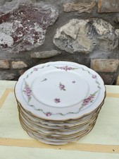 10 Old Ginori Flat Plates With Flowers Diameter 23.5 Cm
