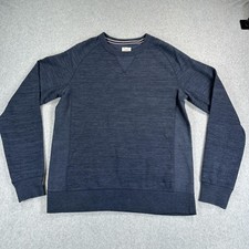 Champion Sweatshirt Mens Large Blue Raglan Crewneck Pullover Solid Casual Top