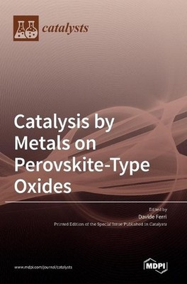 Catalysis by Metals on Perovskite-Type Oxides by Davide Ferri (English) Hardcove