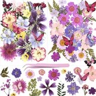 95Pcs Natural Pressed Dried Flowers Resin and Butterflies, Dry Flowers for Resin